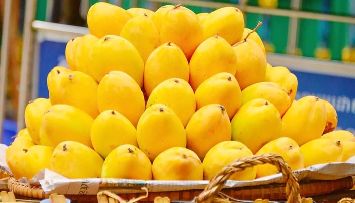 Pakistan will export 125 thousand tons of mangoes