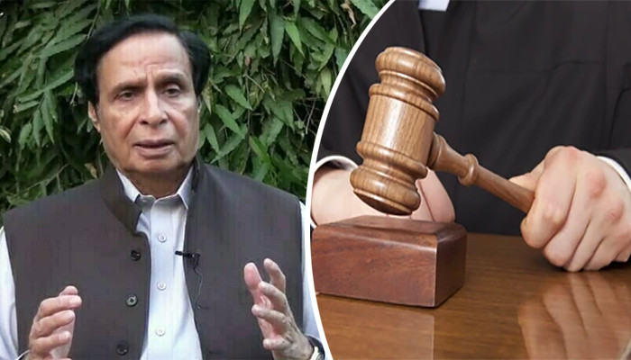 Petrol bomb throwing case, Parvez Elahi's interim bail dismissed