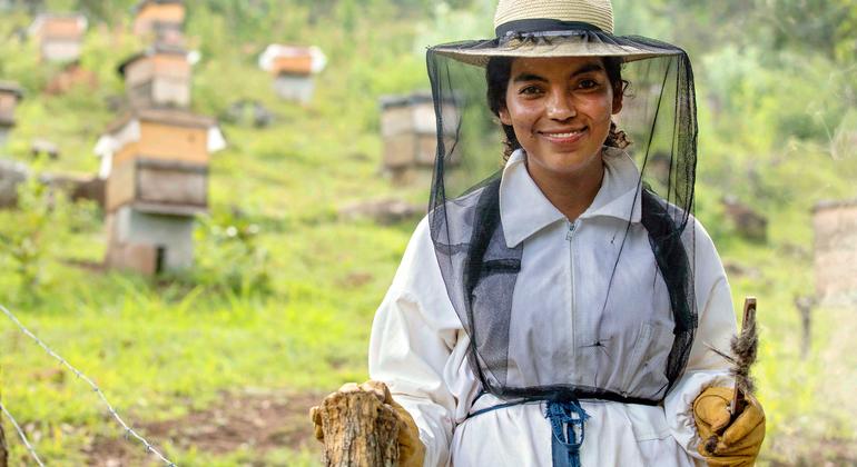 Plenty abuzz on World Bee Day