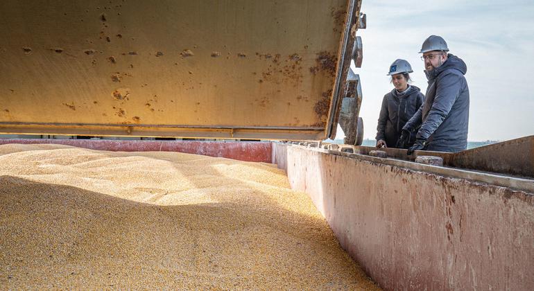 Russia confirms participation in grain deal for at least 60 more days