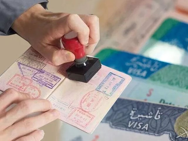 Saudi Arabia introduced e-Visa for 7 countries