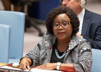 Security situation in Sahel remains very worrying, Security Council warned