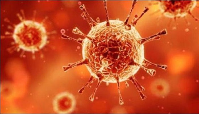 The first death report from Congo virus in Karachi this year