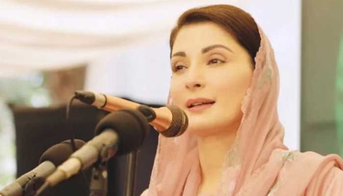 The thief of 60 billion made young workers a subversive force, Maryam Nawaz