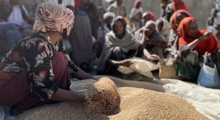 WFP pauses food distribution in Ethiopia following ‘significant diversion’ of aid