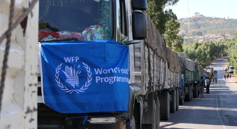 WFP plan aims to prevent further food aid diversion in Ethiopia