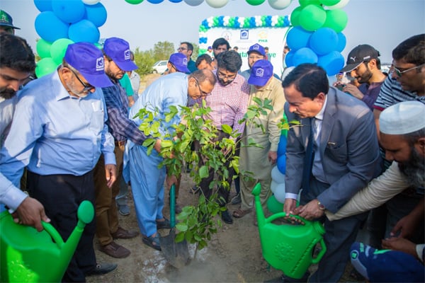 alkhidmet lahor plantation 3