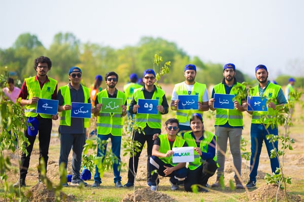 alkhidmet lahor plantation 4