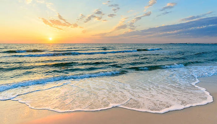 Where does the ocean's nutrients come from? Where does the ocean's nutrients come from?