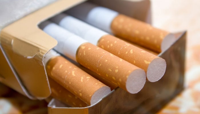 Canadian government's important initiative to prevent smoking File photo