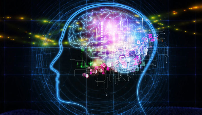 Brain shape may influence human feelings and behavior, research File photo