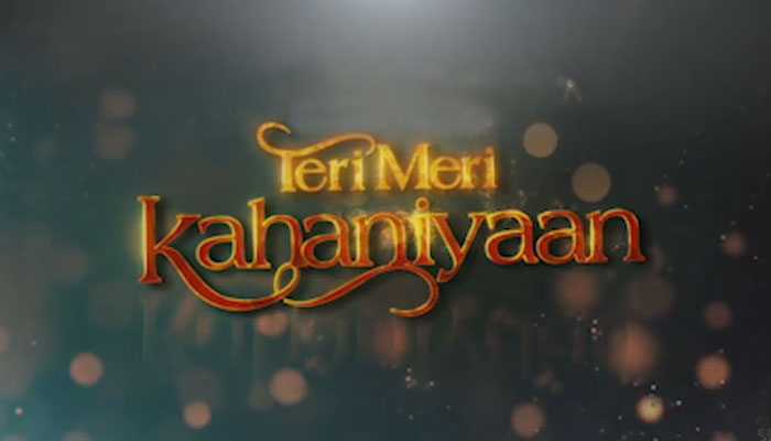 The trailer of the movie 'Teri Meri Kani' has been launched Photo courtesy of Instagram