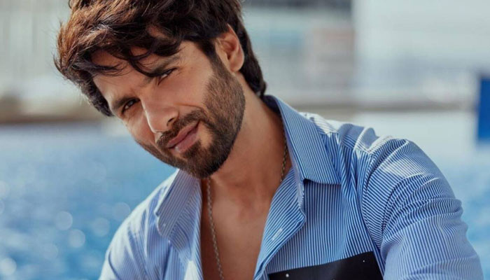 Shahid Kapoor used to live on just two spoons and one plate before marriage