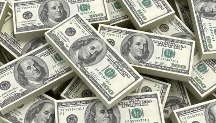Domestic foreign exchange reserves decreased by 178.2 million dollars, State Bank Iconic photo