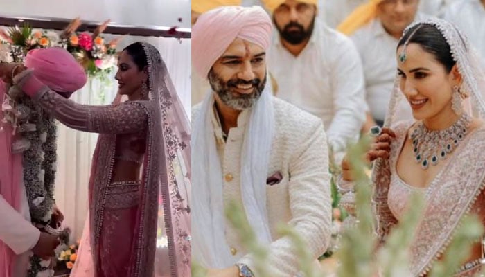 Sonali Segal's wedding and party entry with pet dogs Photos courtesy of Social Media