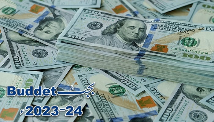 Penalty on hoarding of currency, exemption from bringing in 1 lakh dollars, decision to introduce law —File photo