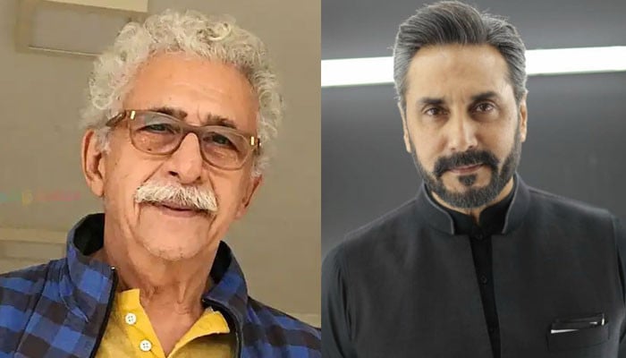 Adnan Siddiqui's reaction to Naseeruddin Shah's apology