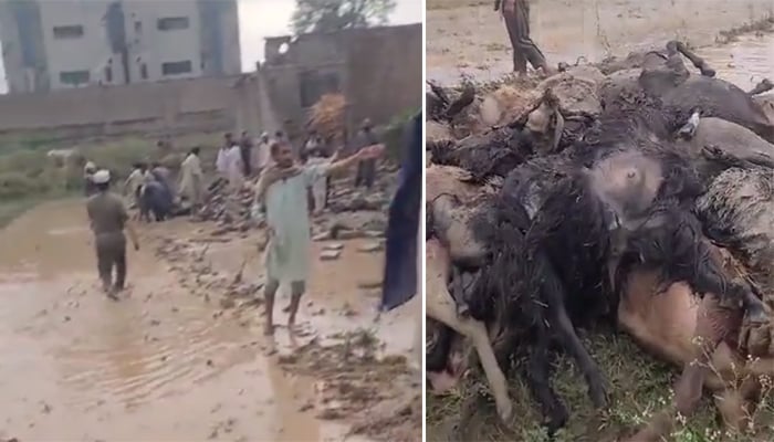 4 crores released for those affected by torrential rains Scenes of devastation from torrential rains in Bannu—Twitter video grab