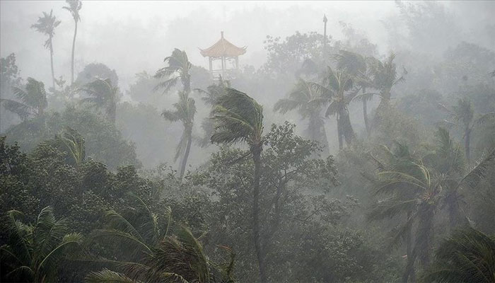 3 people were killed in different accidents due to the storm, normal life was affected Photo: File