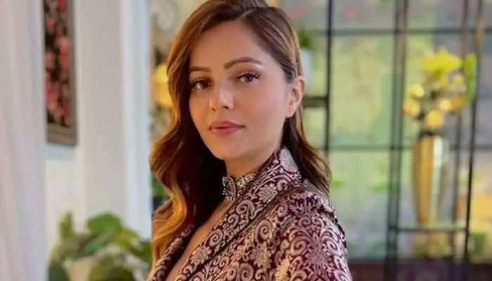Indian actress Rubina Dilek injured in a car accident Rubina Dalek, file photo