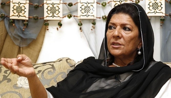 Jinnah House attack case, police prevented from arresting Aleema Khan File photo