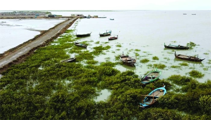In Kati Bandar, people have been evacuated from coastal areas while boats are also standing empty