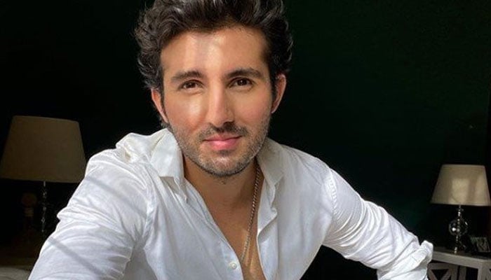 Shahroz Sabzwari, file photo