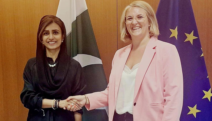 Pakistan and European Union agree to increase parliamentary cooperation