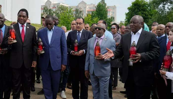 Members of the African Peace Delegation