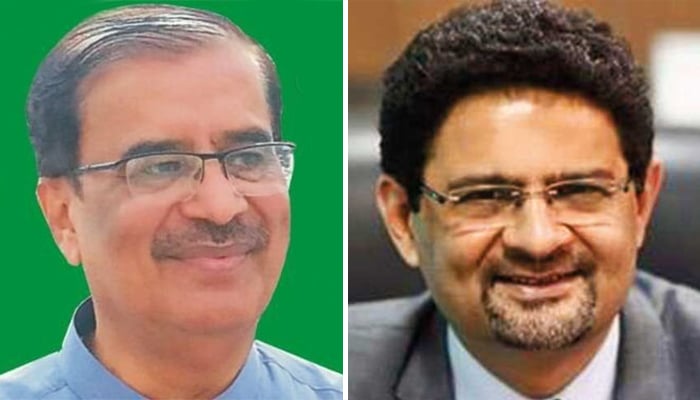 Miftah Ismail and Shah Muhammad Shah—File photo