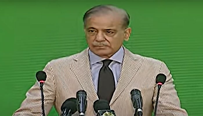 Prime Minister Shahbaz Sharif - Screen grab