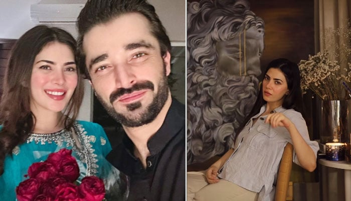 Hamza Ali Abbasi's interesting commentary on Nimal Khawar's painting Photo courtesy of Instagram