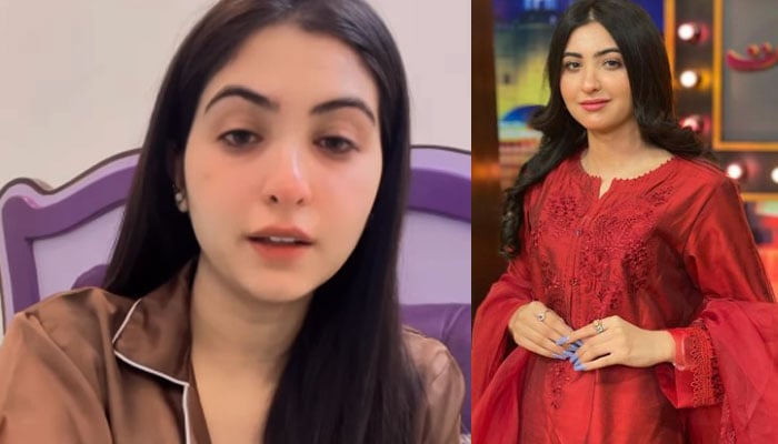 After Wase Chaudhry, Sara Neelam also apologized for her statement regarding overseas Pakistanis Collage courtesy of Social Media