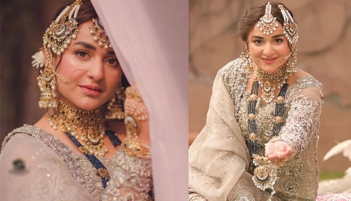 An Indian fan made a beautiful portrait of Yemuna Zaidi, the actress couldn't stop admiring it File photo