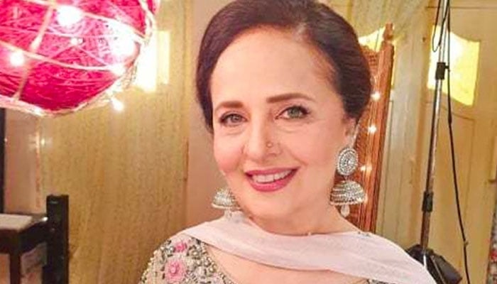 Hina Khawaja Bayat told about the next superstar of the industry File photo