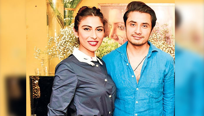 Ali Zafar is still Pakistan's most successful artist, Misha Shafi's statement in court File photo