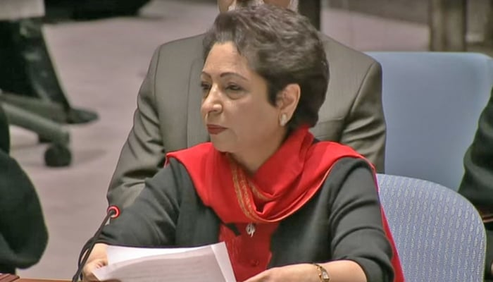Maleeha Lodhi -- File photo