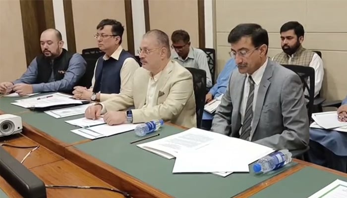 Meeting of Iranian delegation with Sharjeel Memon Screen grab