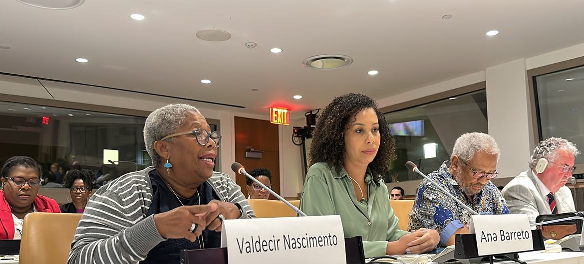 Activist Valdecir Nascimento at the second session of the Permanent Forum on People of African Descent. Activist Valdecir Nascimento at the second session of the Permanent Forum on People of African Descent.