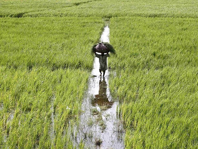Sindh, the target of income tax on agricultural income could not be met The government failed to achieve other tax targets apart from the target of motor vehicle tax. Photo: File