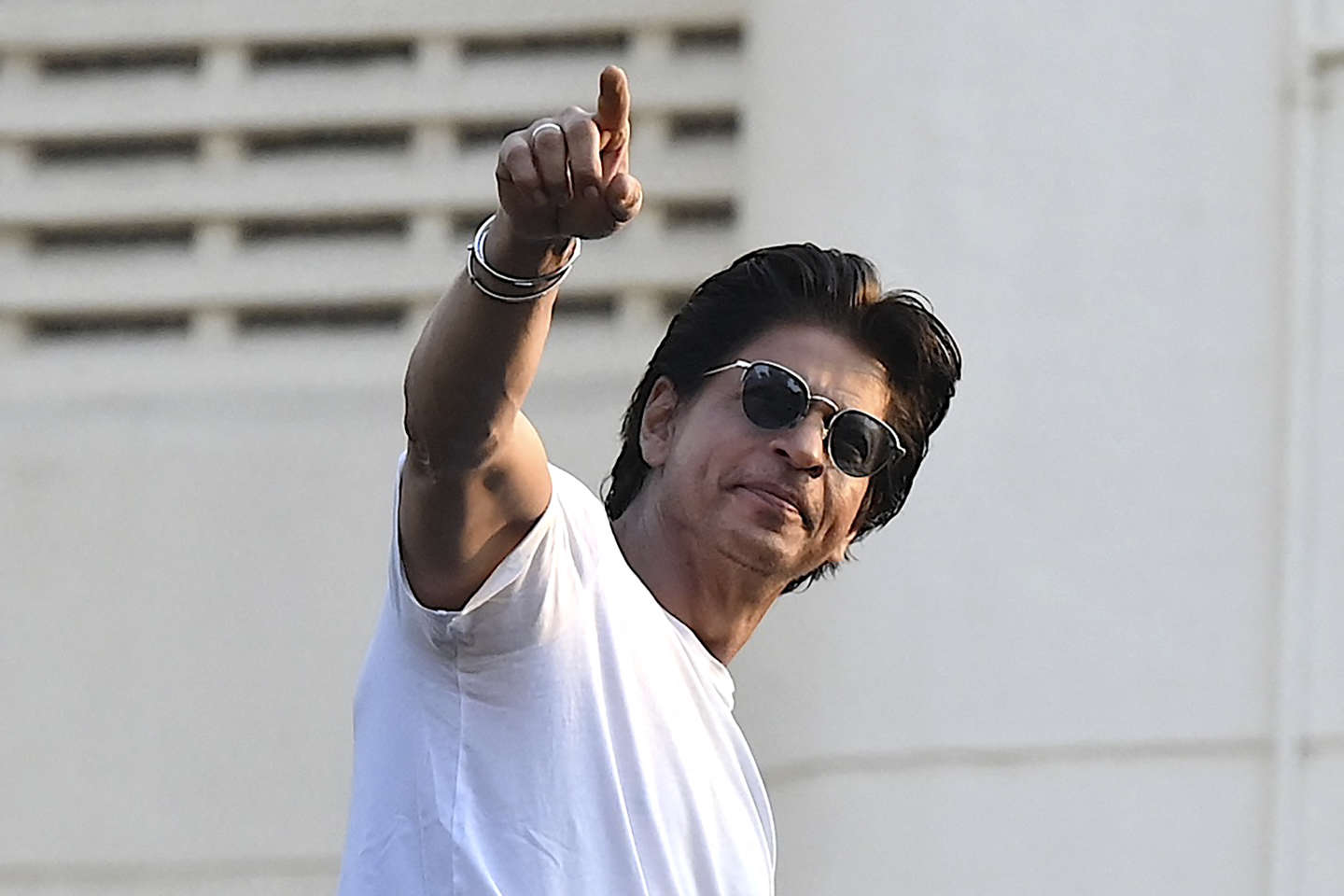 Shah Rukh Khan's song 'Jhume Jo Pathan' is also popular among cats