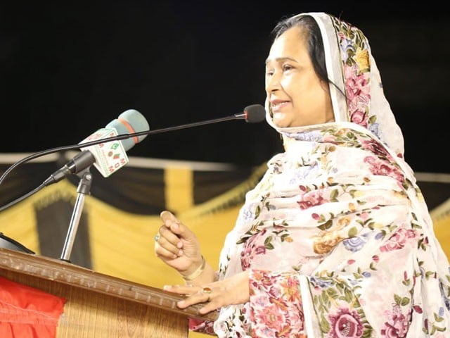I get worried when I see the electricity bill of my house, Rana Ansar