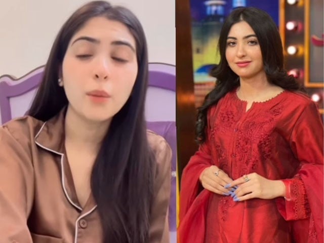Sara Neelam apologized for the statement regarding overseas Pakistanis Photo: Video Grab