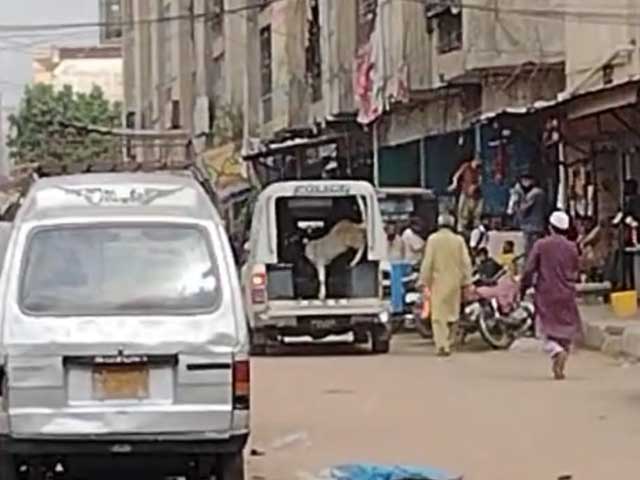 Use of police mobiles in Karachi for transporting goats and buying liquor