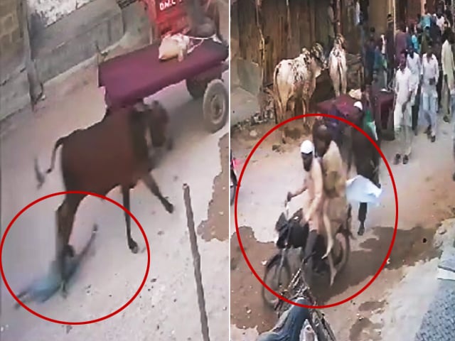 Karachi;  The desire to see the sacrificial animal took the boy's life