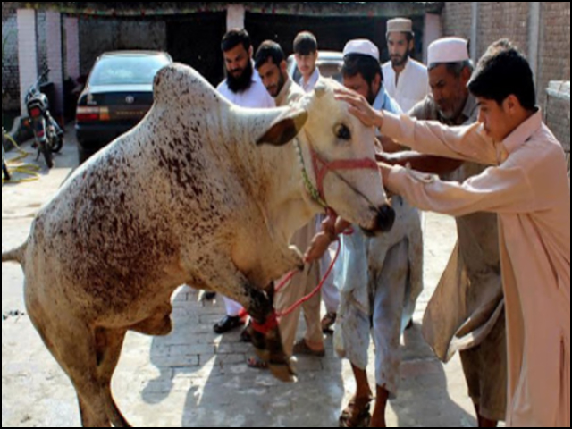 The Sindh government has issued a notification for Eid-ul-Azha holidays