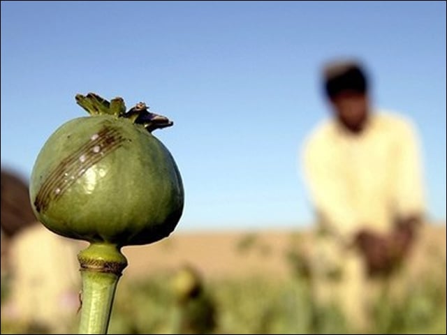 Decision to reopen Asia's largest opium factory in Lahore