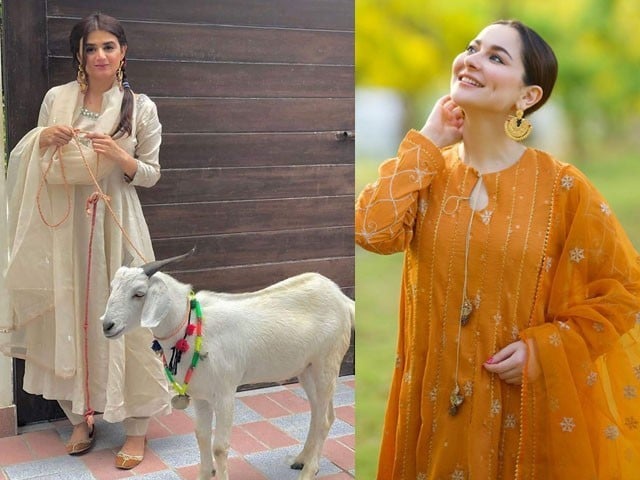Colors of showbiz artists on Eid-ul-Adha; Happy Eid to fans Today, Thursday, Eid-ul-Adha is being celebrated in Pakistan with religious enthusiasm; Photo: Social Media