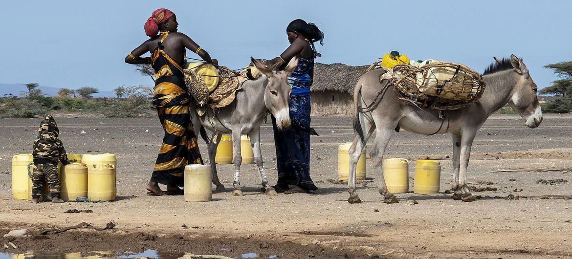 Women collect water in drought-stricken Marsabit in northern Kenya. Women collect water in drought-stricken Marsabit in northern Kenya.