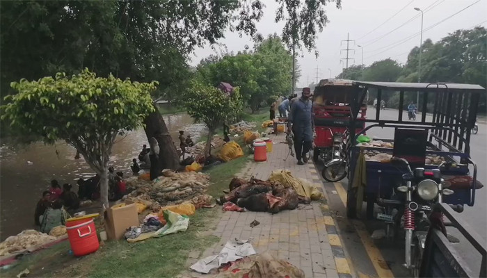 7 people arrested for throwing furniture in the canal